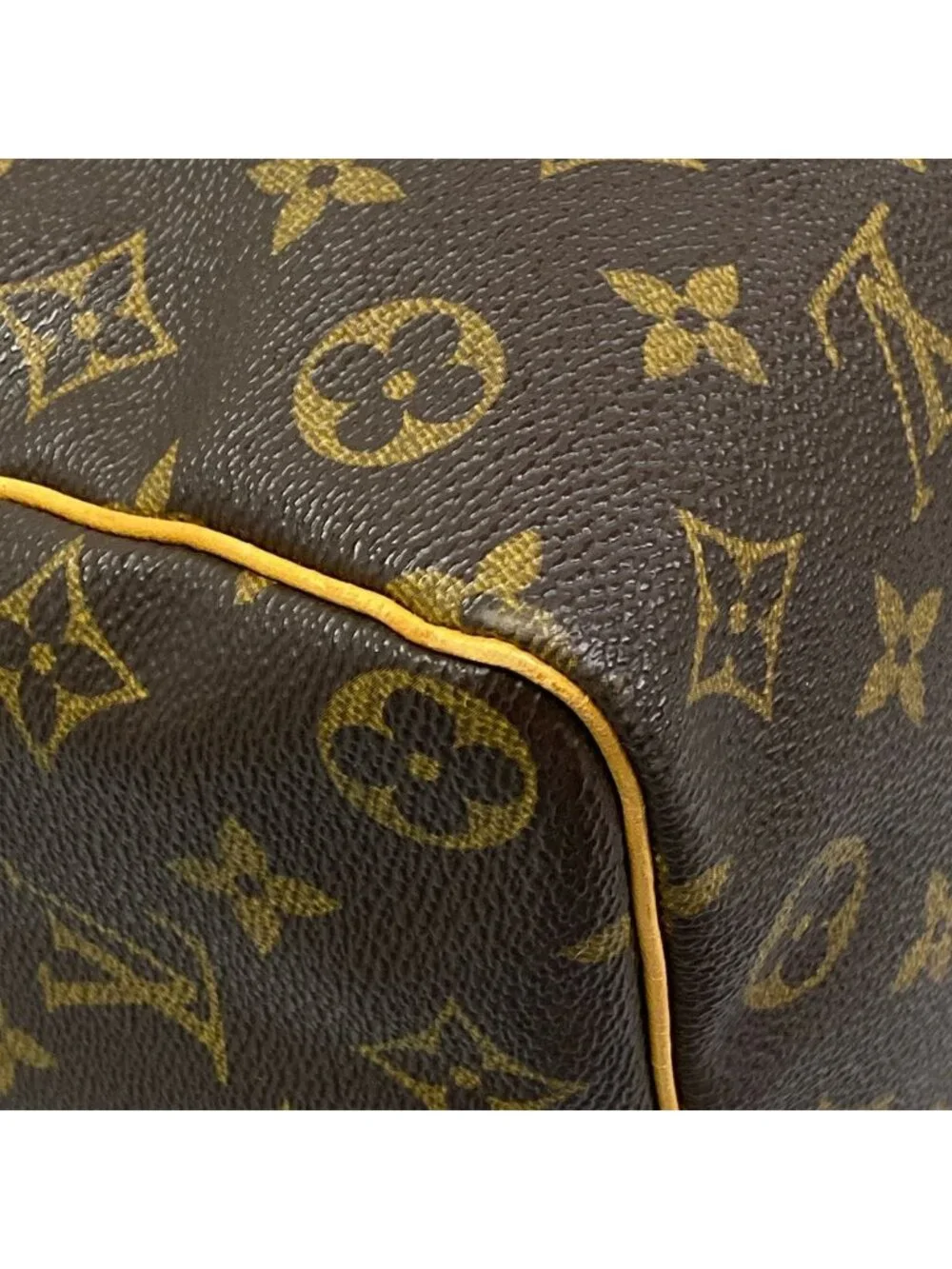 Louis Vuitton category handbag